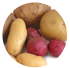 Prince Edward Island Seed Potatoes